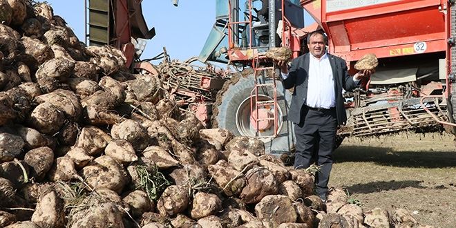 COVİT19 İLE MÜCADELENİN ANA ETMENİ “ŞEKER PANCARI” HASADI BAŞLAMAK ÜZERE