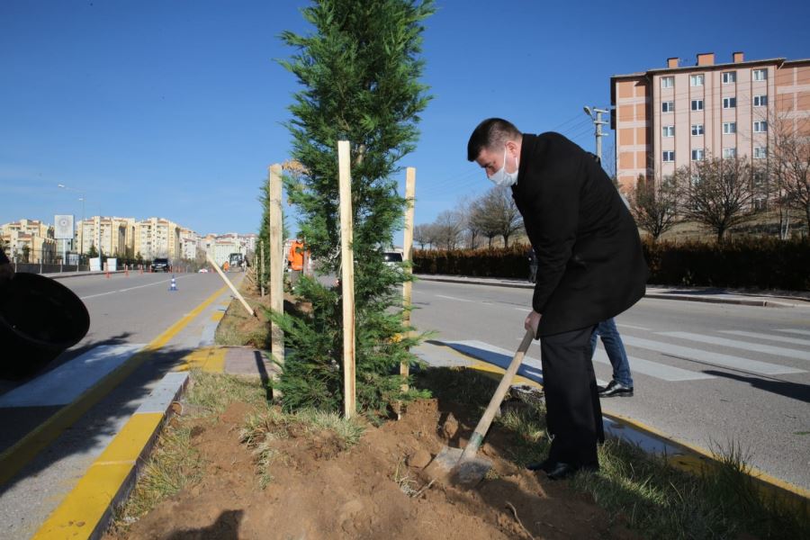 BAŞKAN DİNÇER; ‘’44 BİN AĞACI, 300 BİN ÇALI FİDESİNİ VE 400 BİN SÜS BİTKİSİNİ TOPRAKLA BULUŞTURDUK’’