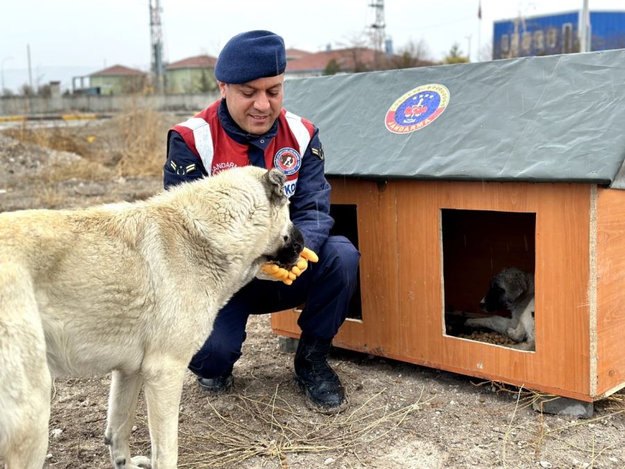 Aksaray İl Jandarma Komutanlığı