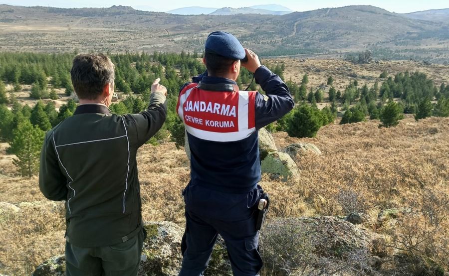 JANDARMA