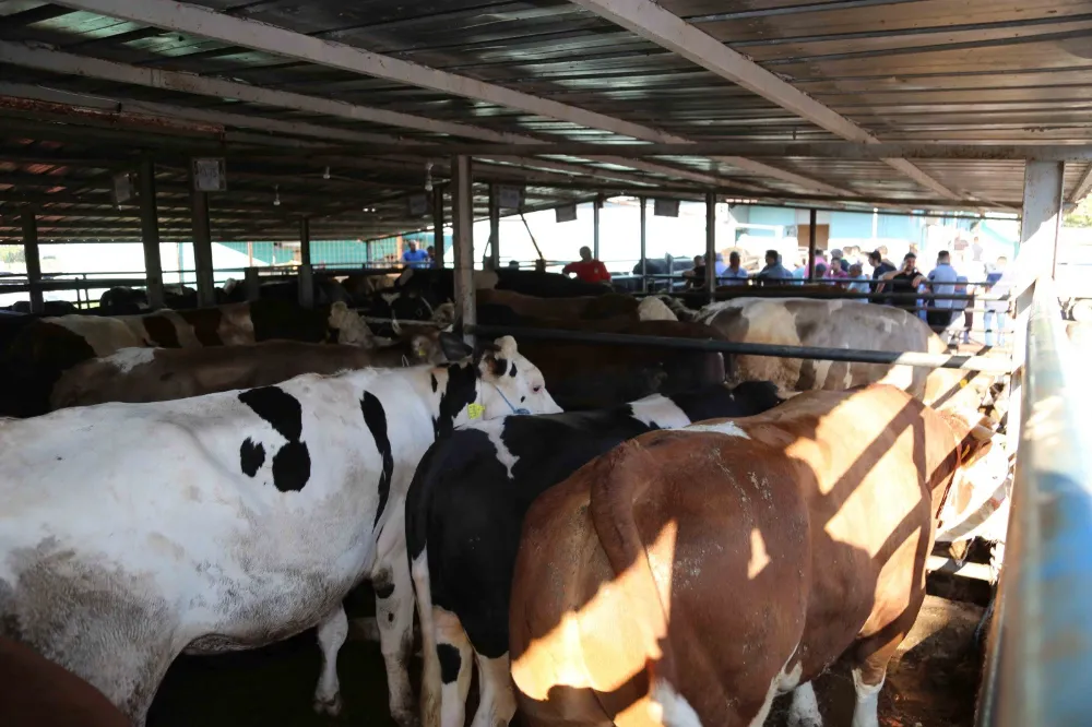 BELEDİYE EKİPLERİ KURBAN BAYRAMI İÇİN TEDBİRLER ALDI